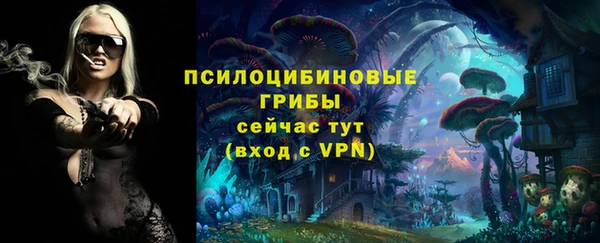 mix Лабытнанги