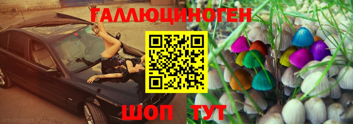 Псилоцибиновые грибы мицелий Янаул